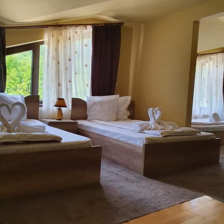 Pensiunea Mirela Pestera Ursilor Chiscau Exteriér fotografie