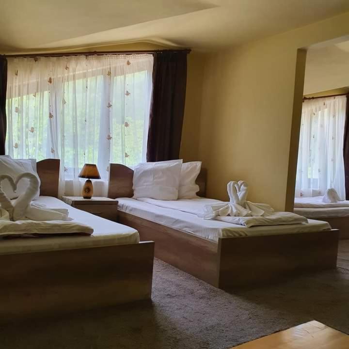 Pensiunea Mirela Pestera Ursilor Chiscau Exteriér fotografie