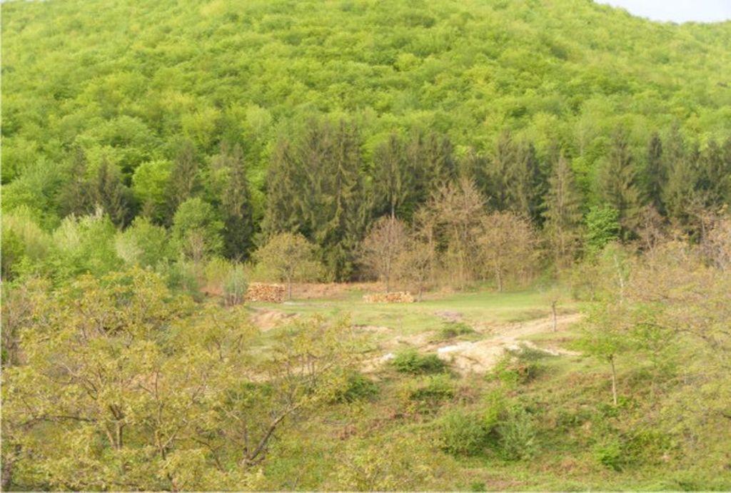 Pensiunea Mirela Pestera Ursilor Chiscau Exteriér fotografie